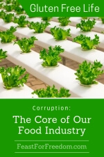 Pinterest mini image - Corruption: the core of our food industry with plastic racks of growing lettuce