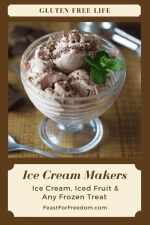 Pinterest mini image - Ice cream makers to the rescue for frozen treats with chocolate ice cream with chocolate sprinkles