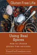 Pinterest mini image - Using real spices with antique spoons displaying a variety of colorful single spices