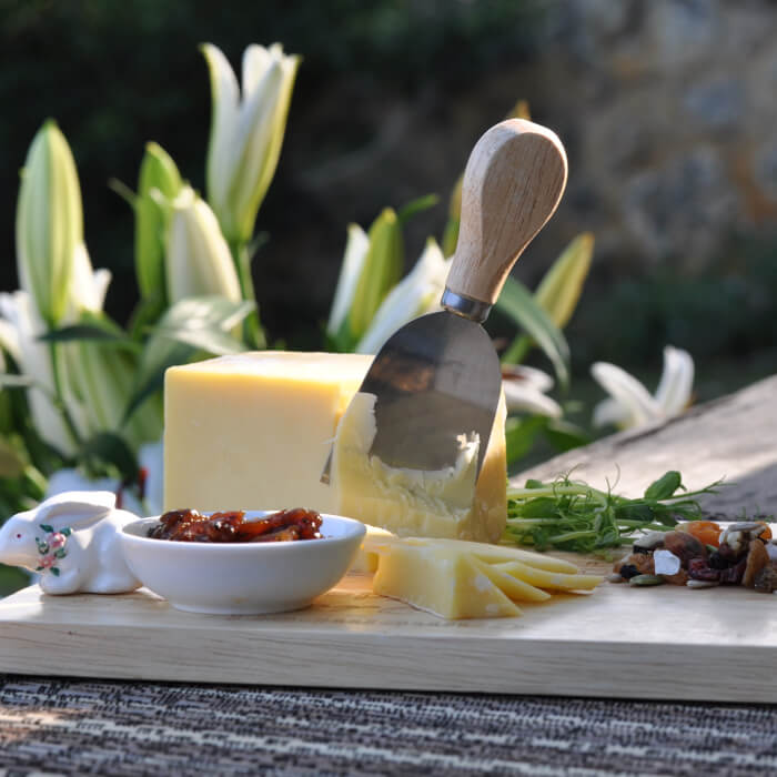 Cheese on a platter with herbs